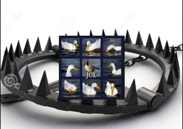 image.jpeg