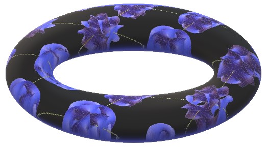 calabi-yau torus.jpg