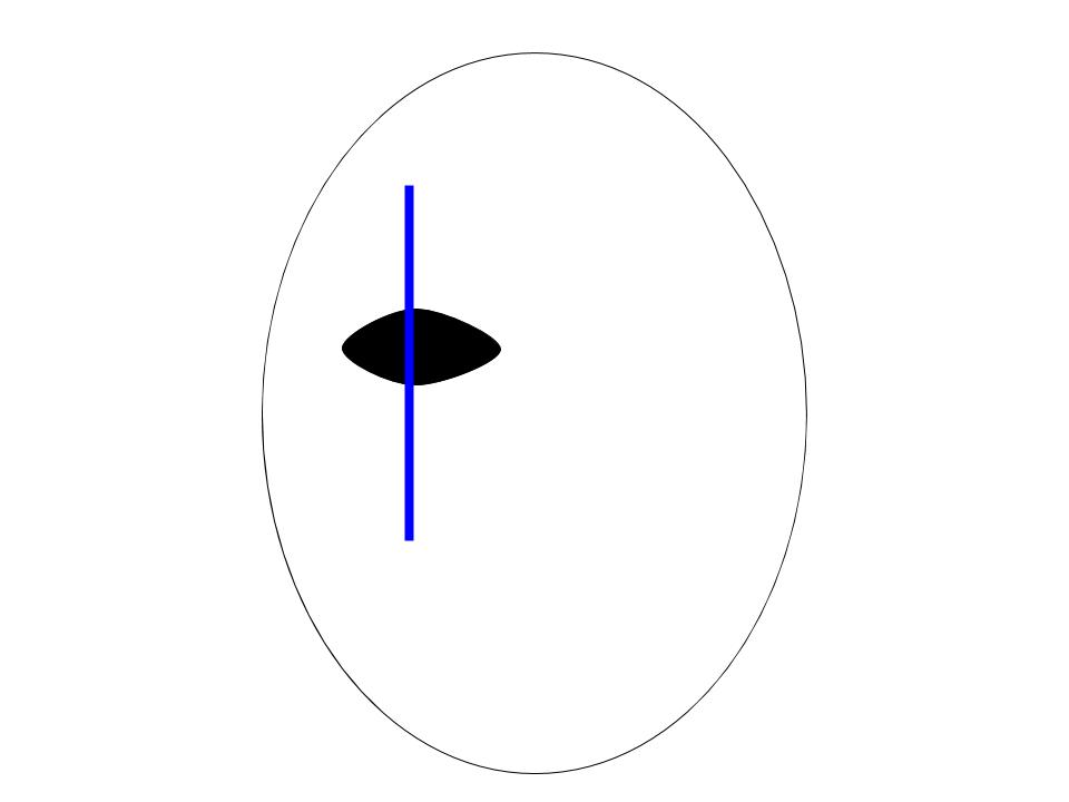 Northwest mask I.jpg