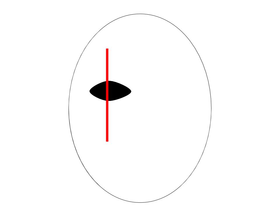 Northwest mask II.jpg