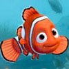 Nemo