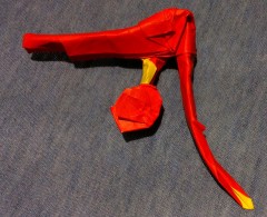 Origami Aon Aon