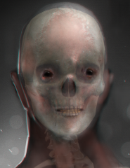 kandra