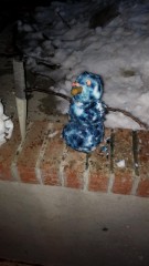 snowloss1