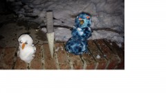 snowloss3