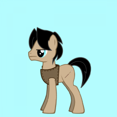 Kaladin Pony