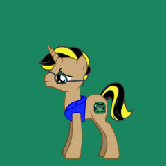 Renarin Pony