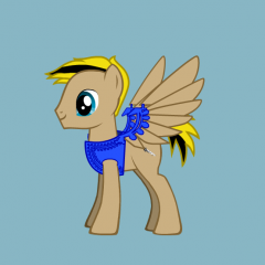 Adolin Pony