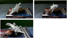 Origami Whitespine