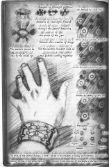 Navani's Notebook Translation