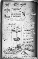 Navani's Notebook Translation