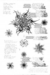 Shallan's Drawing Page 245
