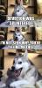 post-12787-0-53142400-1428385042_thumb.j