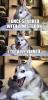 post-12836-0-14014400-1428966406_thumb.j