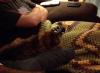 post-10473-0-57085600-1406579059_thumb.j