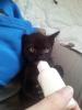 post-13529-0-80269600-1448552995_thumb.j