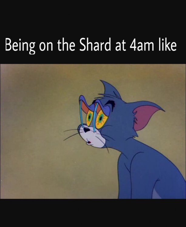 image.jpeg