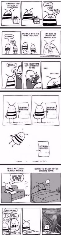 meeveryday 1.jpg