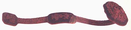 440px-MS-SchnitzlackRuyiSzepter18Jh.JPG