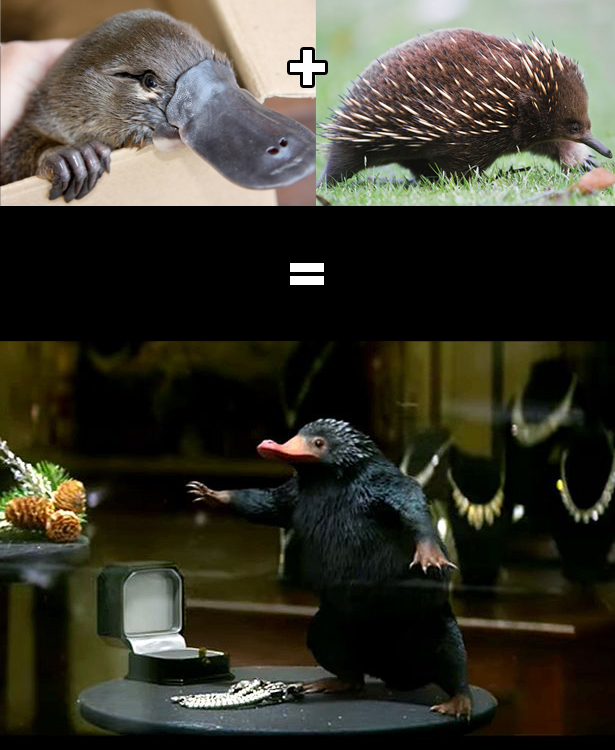 Platypus plus Echidna Equals Niffler.jpg