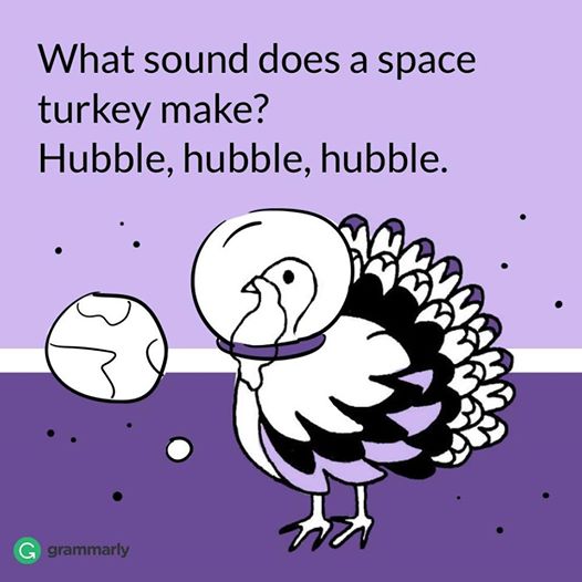 Space Turkey Hubble.jpg