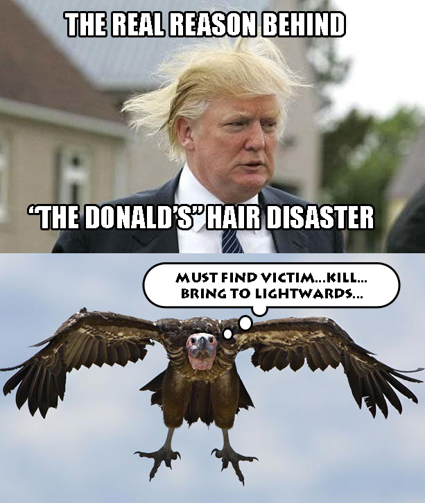 Donald the Zombie's Hair Disaster.jpg