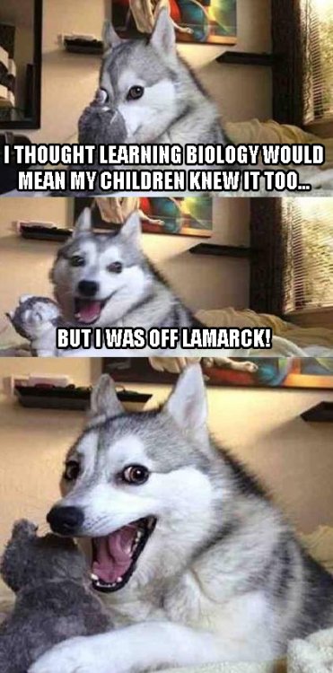 Bad Pun Dog Lamarckian Evolution.jpg