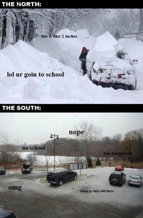1northsouthcold1.jpg