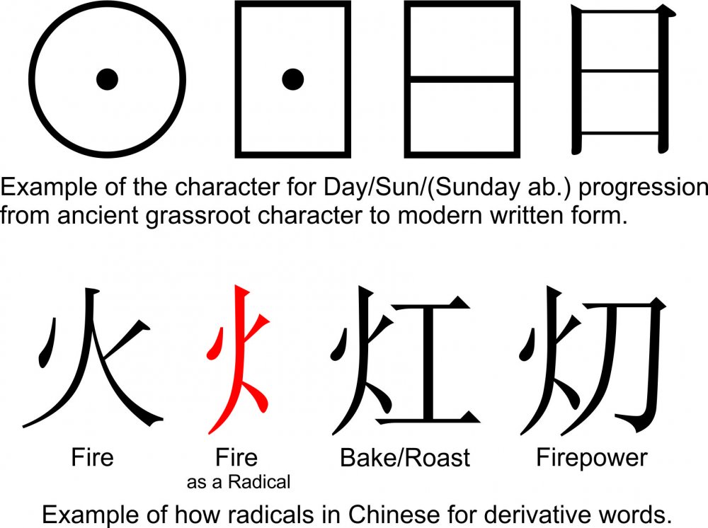 Chinese Evolution Examples.jpg