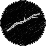 Stick.png