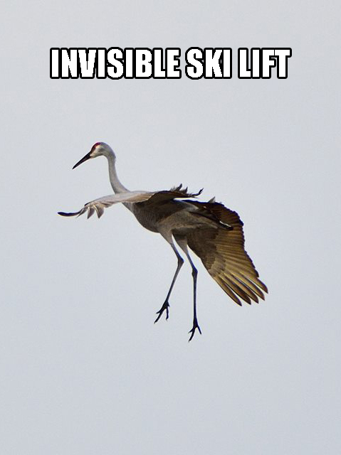 Invisible Ski Lift Sandhill.jpg