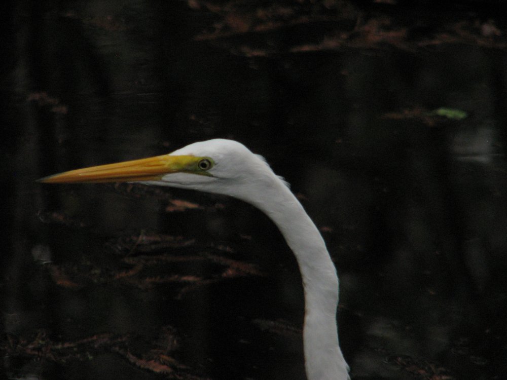 IMG_0150.JPG