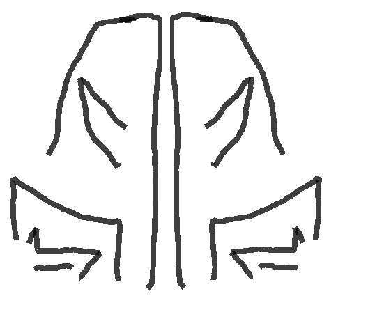 Kakama Glyph.PNG