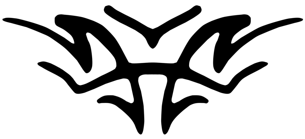 shash - B.png