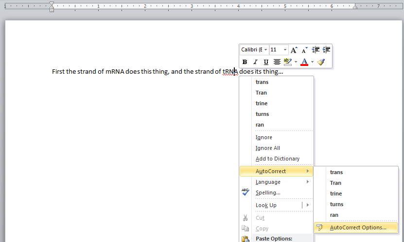AutoCorrect Options MS Word.png