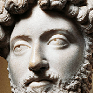 Monti