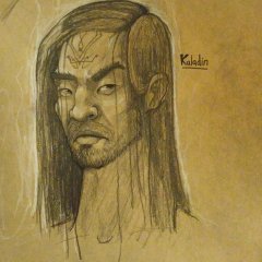 Kaladin Bridge Leader