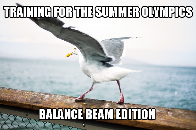 Seagull Balance Beam Olympic Training.jpg