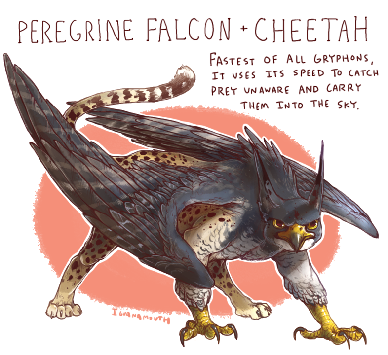 Cheetah-Peregrine.png