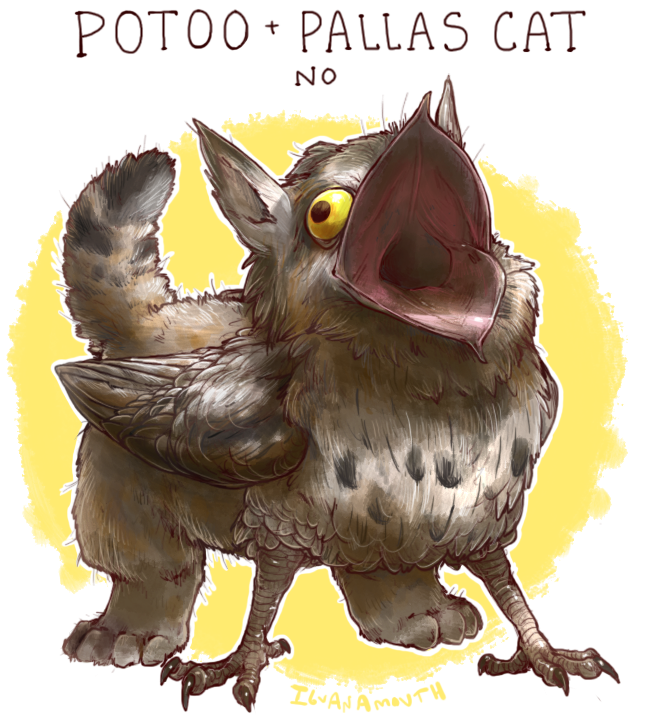Pallas-Potoo.png