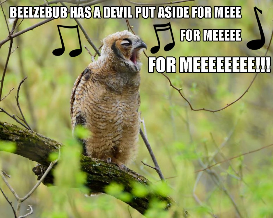 GHO Baby Sings Bohemian Rhapsody.jpg