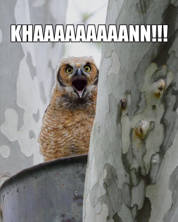 GHO_Baby_KHAN_by_Mom.jpg