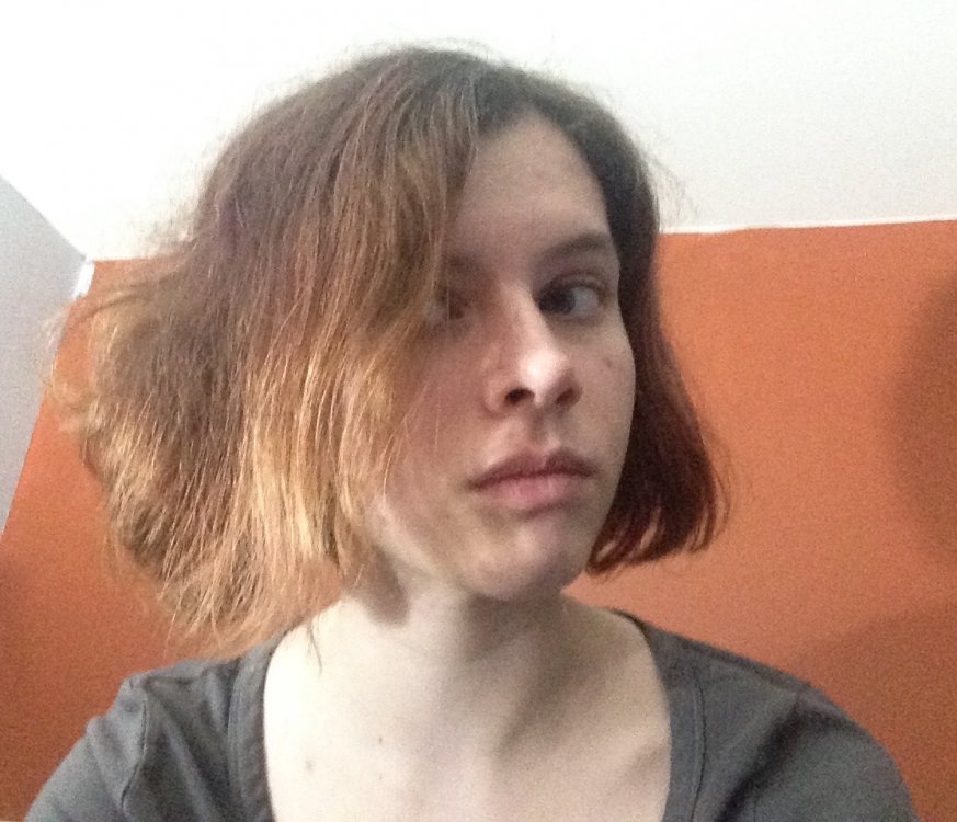 image.thumb.jpeg.ad6454eab49900c37899ee470026347c.jpeg