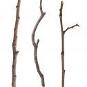 iamstick