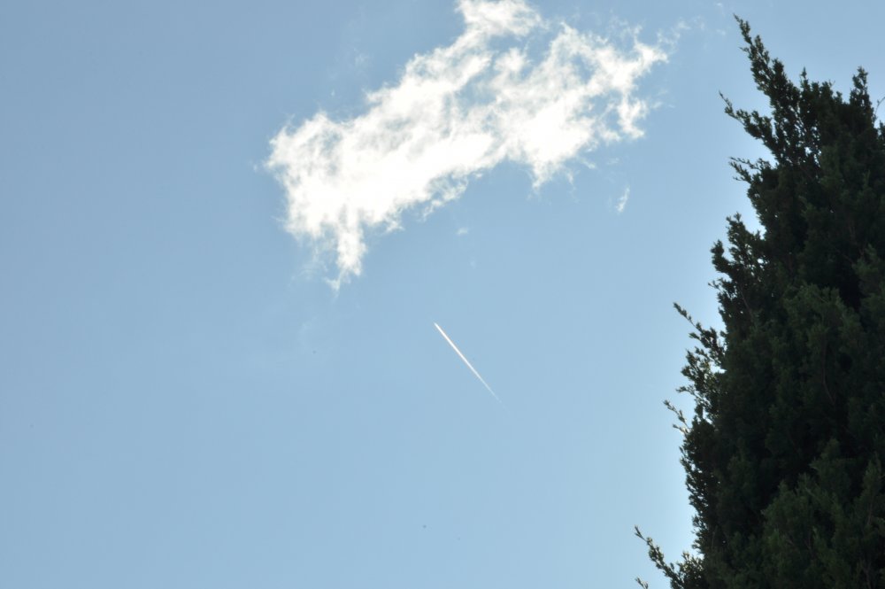 DSC_0138.thumb.JPG.7f133358ddb02bbe3d50f6ed18037a1c.JPG