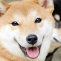 Chinsukolo