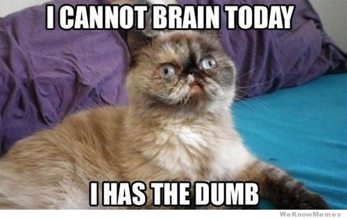596bdea179cb9_CannotBrainCat.jpg.5bc6229b901b472e25fbe61e3b06bdc6.jpg
