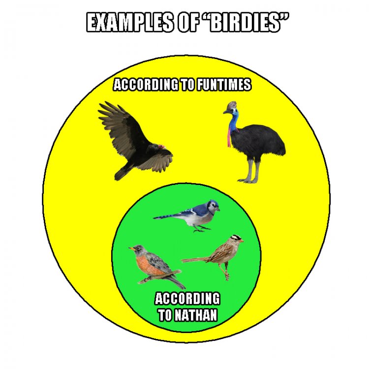 5972c04416f85_BirdiesFuntimesvsNathan.thumb.jpg.011b427ceb413eef4437ac4c4c3c846a.jpg