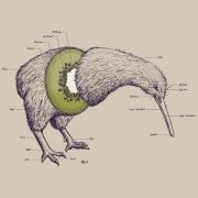 jay792