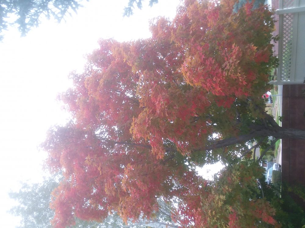 20171008_094205.jpg